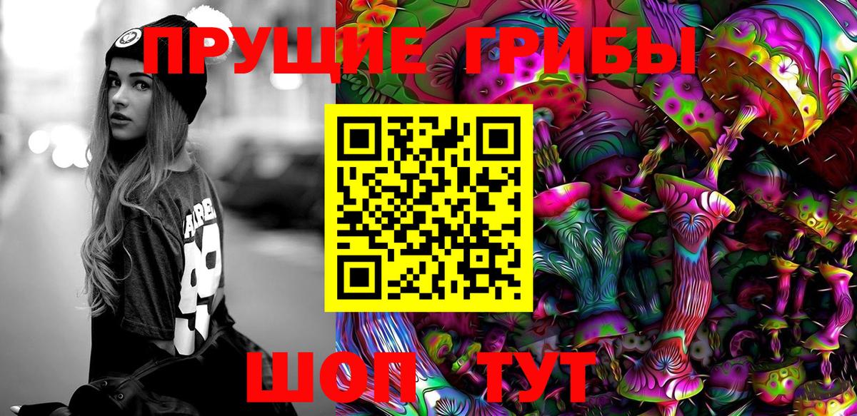 Псилоцибиновые грибы прущие грибы Клин