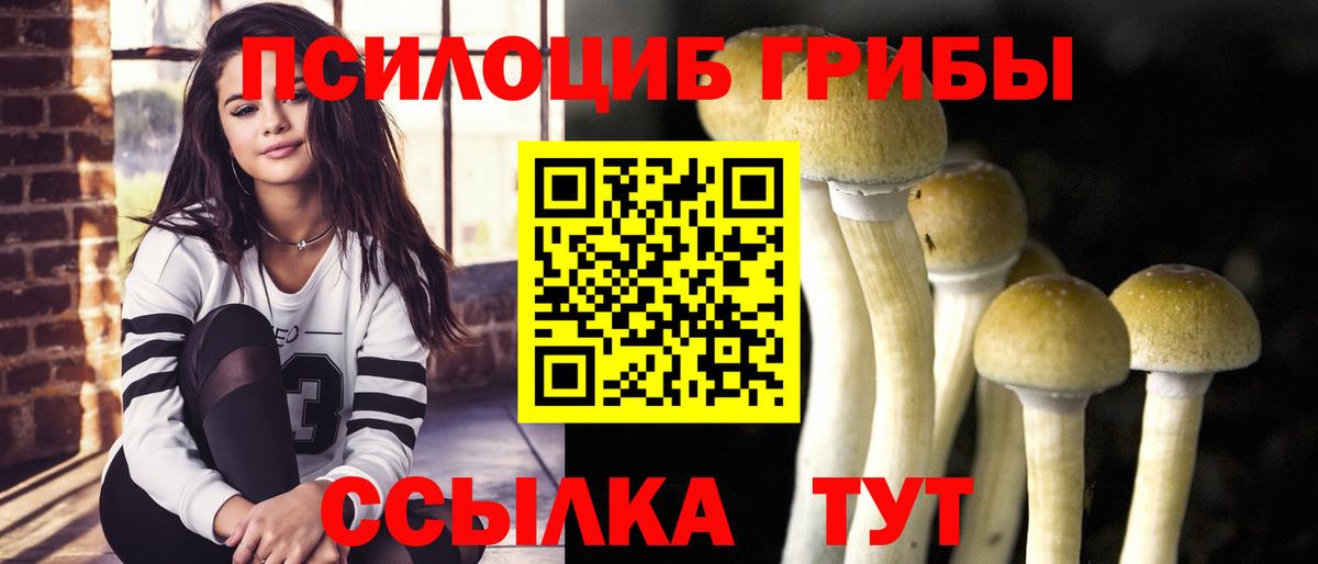 как найти   Псилоцибиновые грибы мухоморы  Вход с VPN  Клин 